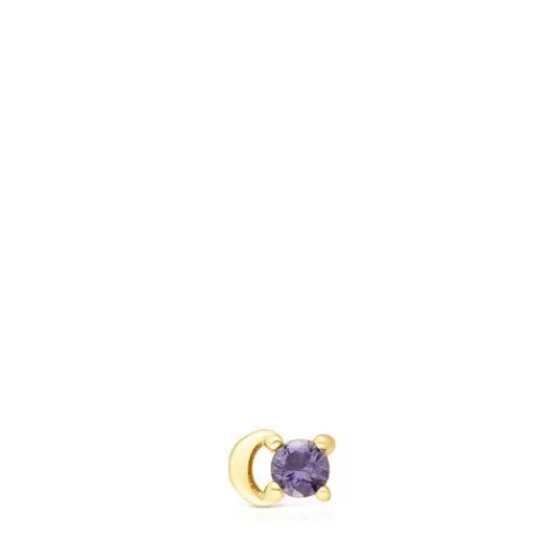 Discount Gold-colored IP steel and iolite New Motif Moon piercing Small Earrings | Individual Earrings