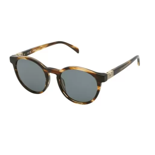 Best Sale Havana-colored Sunglasses Bold Bear Sunglasses