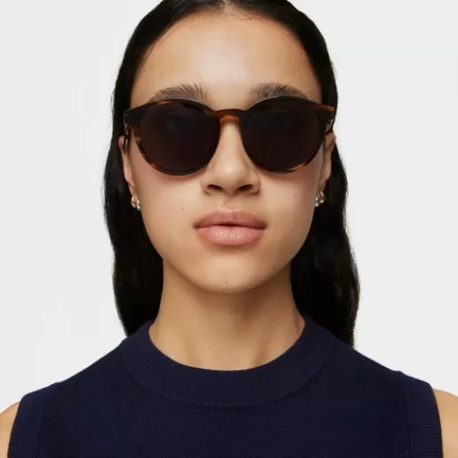 Best Sale Havana-colored Sunglasses Bold Bear Sunglasses