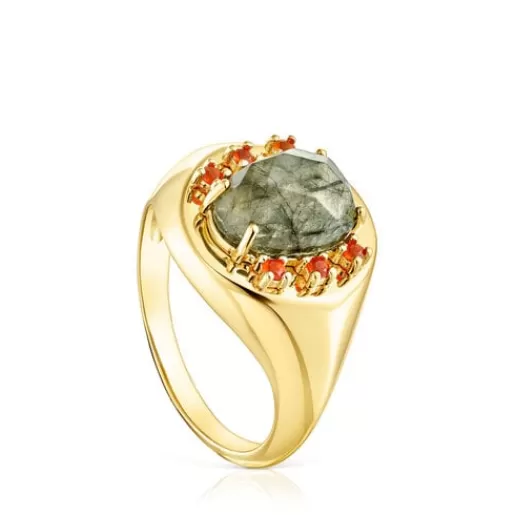 Cheap Silver vermeil Virtual Garden Signet ring with labradorite and carnelian Silver Rings | Large Rings