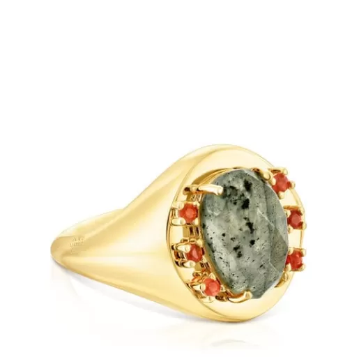 Cheap Silver vermeil Virtual Garden Signet ring with labradorite and carnelian Silver Rings | Large Rings