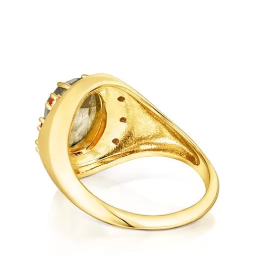 Cheap Silver vermeil Virtual Garden Signet ring with labradorite and carnelian Silver Rings | Large Rings