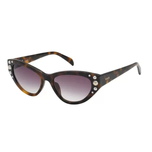 Online Square Bear Havana sun glasses Sunglasses